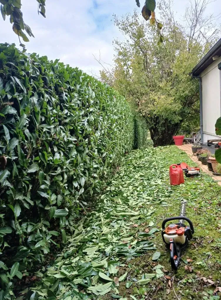 Déchets verts