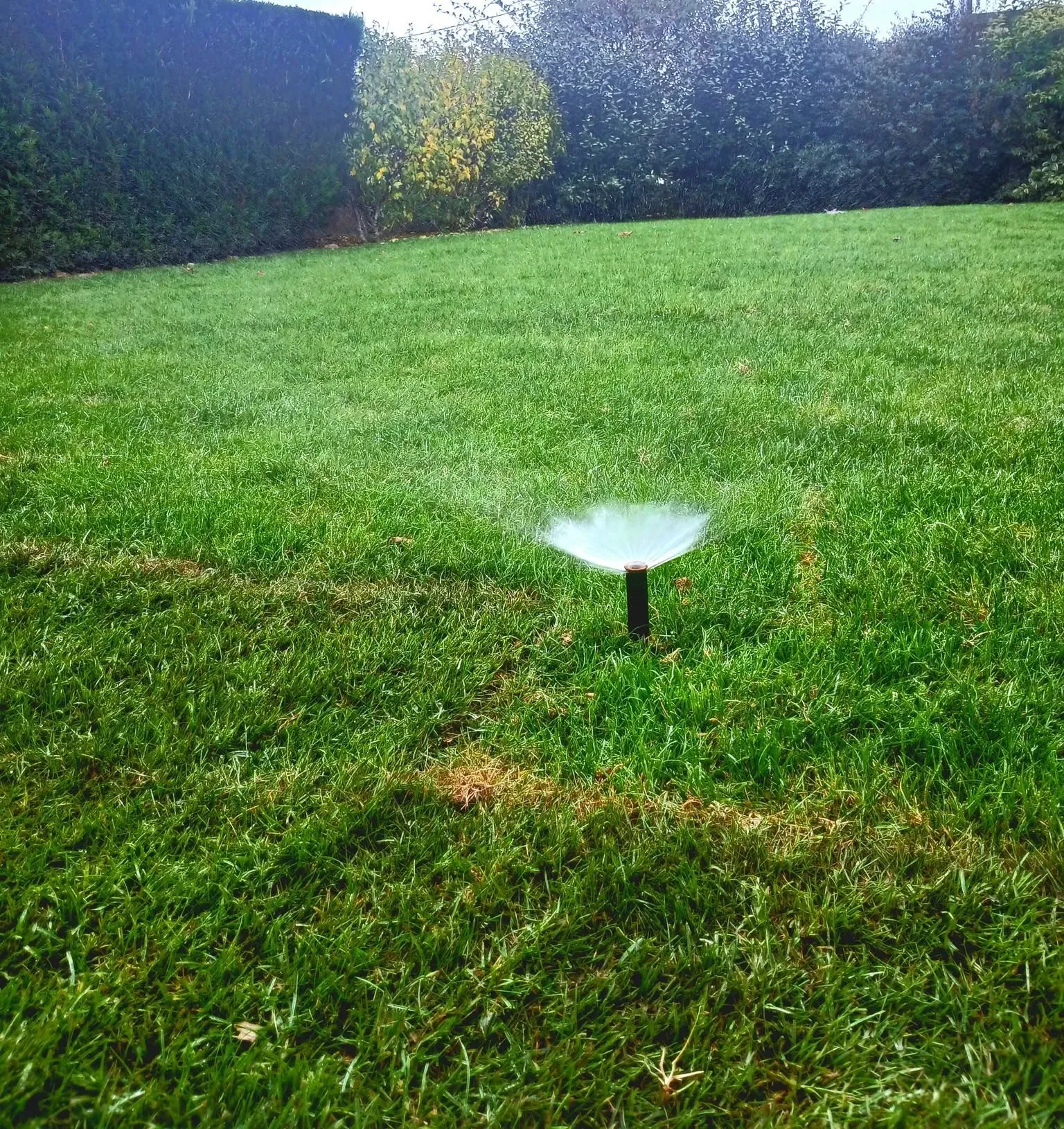 Arrosage automatique