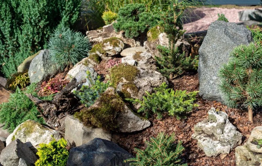 Conception paysagère à Tillenay